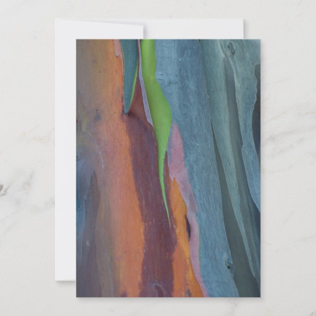 Abstract Of Rainbow Gum Tree Card (Front)