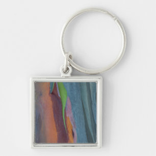 Abstract Of Rainbow Gum Tree Key Ring