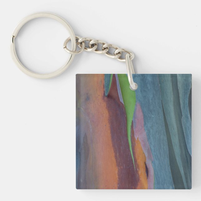 Abstract Of Rainbow Gum Tree Key Ring (Front)