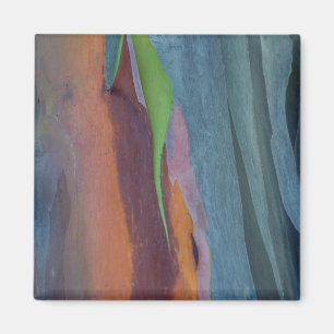 Abstract Of Rainbow Gum Tree Magnet