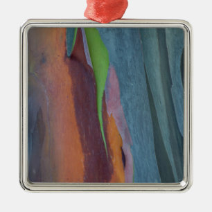 Abstract Of Rainbow Gum Tree Metal Tree Decoration