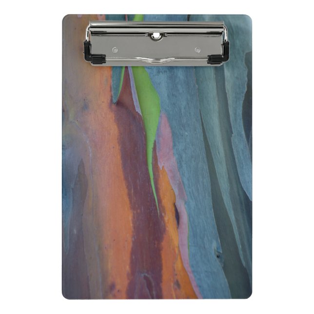 Abstract Of Rainbow Gum Tree Mini Clipboard (Front)