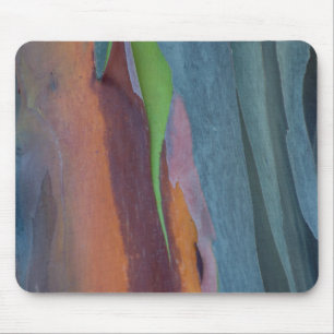 Abstract Of Rainbow Gum Tree Mouse Mat