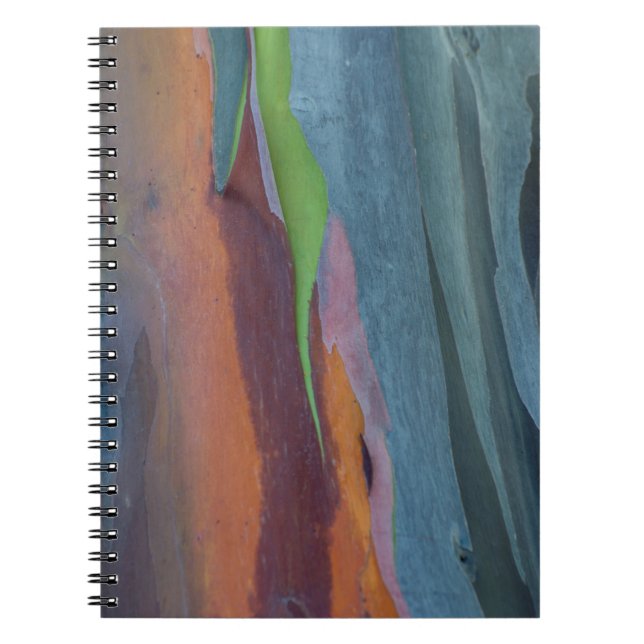 Abstract Of Rainbow Gum Tree Notebook (Front)