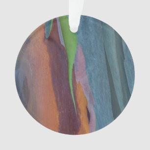 Abstract Of Rainbow Gum Tree Ornament