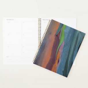 Abstract Of Rainbow Gum Tree Planner
