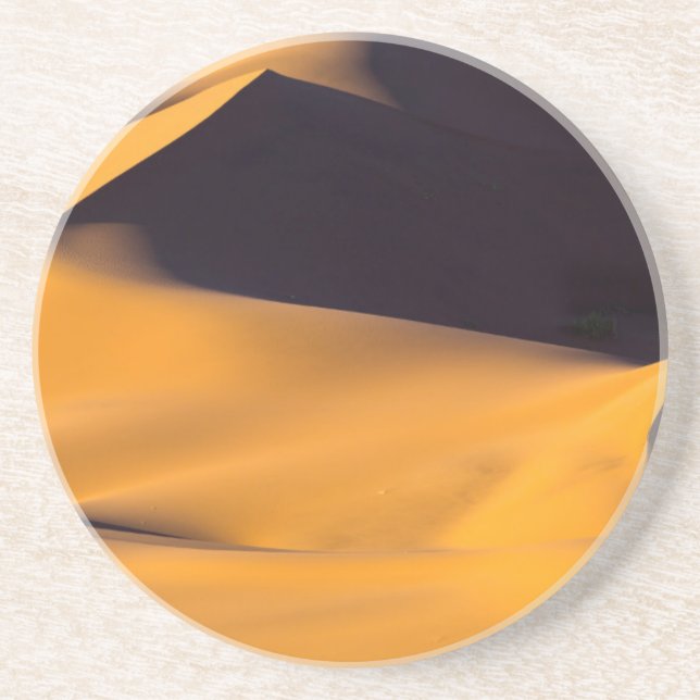 Abstract of sand dune coaster (Front)