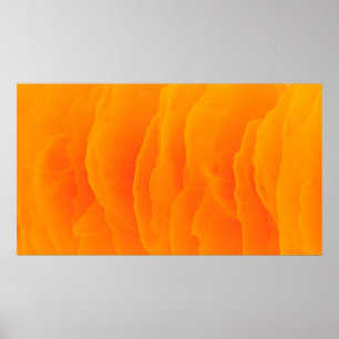 Abstract orange background colourful poster