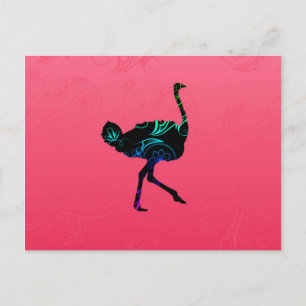 Abstract Ostrich Postcard