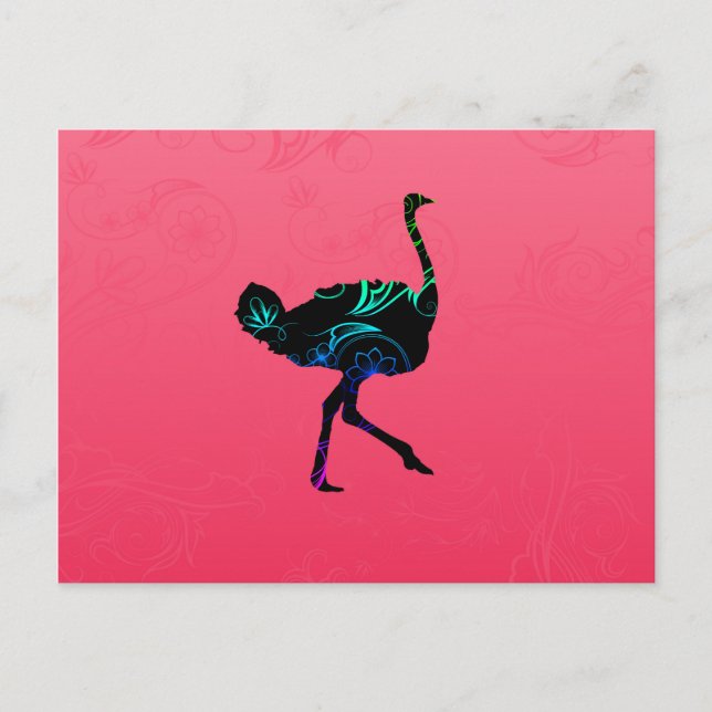 Abstract Ostrich  Postcard (Front)