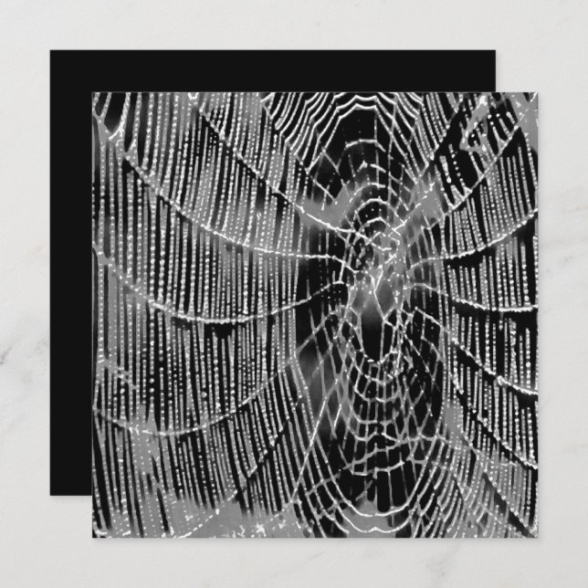 Abstract Painting Of A Grey White Cobweb On Black Invitation (Front/Back)