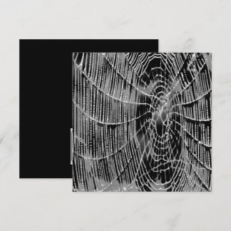 Abstract Painting Of A Grey White Cobweb On Black Invitation