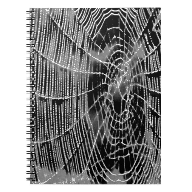 Abstract Painting Of A Grey White Cobweb On Black Notebook (Front)