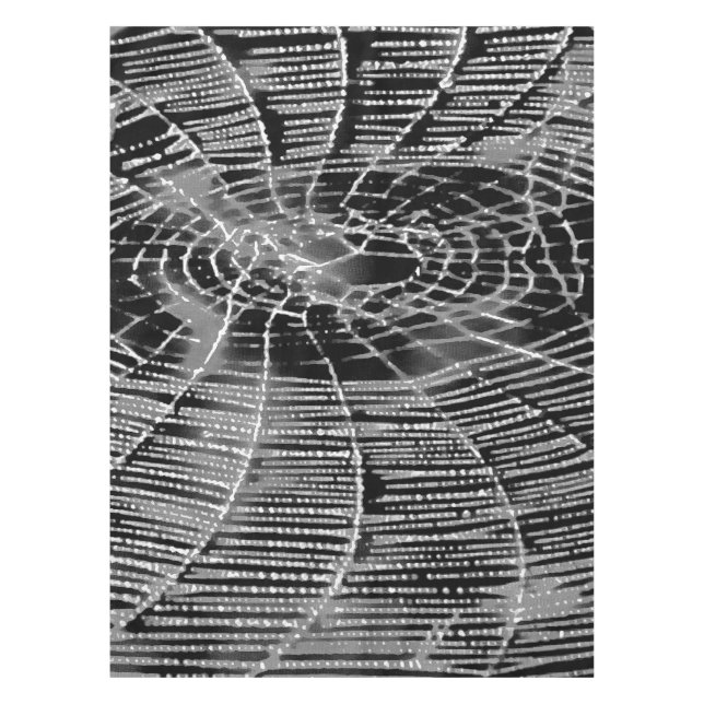 Abstract Painting Of A Grey White Cobweb On Black Tablecloth (Front)