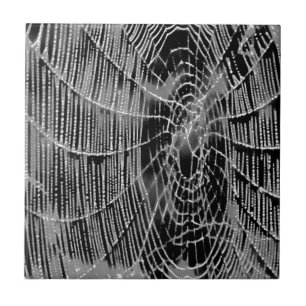 Abstract Painting Of A Grey White Cobweb On Black Tile