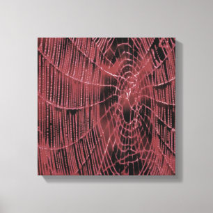 Abstract Painting Of A Magenta Pink Cobweb Canvas Print