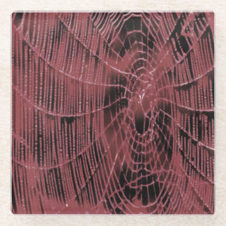 Abstract Painting Of A Magenta Pink Cobweb Glass Coaster