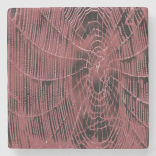Abstract Painting Of A Magenta Pink Cobweb Stone Coaster