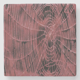 Abstract Painting Of A Magenta Pink Cobweb Stone Coaster
