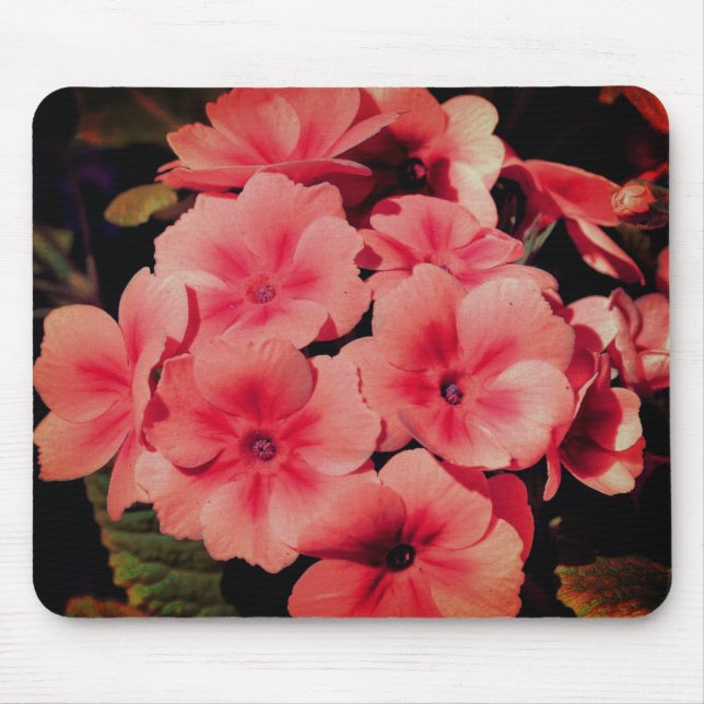 Abstract Peach Primrose Flower Art Mouse Mat (Front)