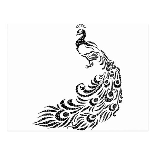 Image of abstract peacock Postcard