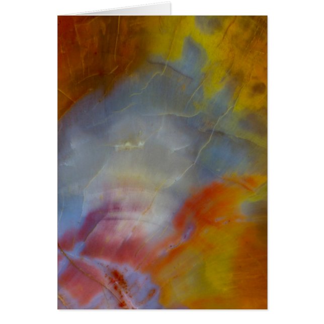 Abstract Petrified Wood close-up (Front)