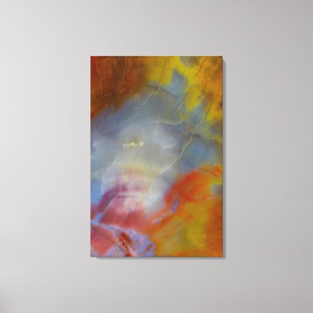 Abstract Petrified Wood close-up Canvas Print (Front)