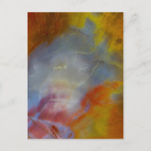 Abstract Petrified Wood close-up Postcard