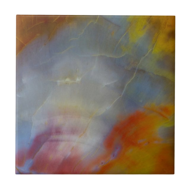 Abstract Petrified Wood close-up Tile (Front)