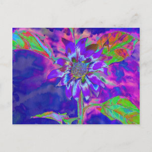 Abstract purple blue sunflower   retro funky fun postcard