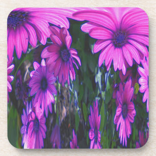 Abstract Purple Daisies Floral Cork Coaster Set