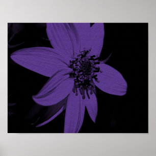 Abstract Purple Sunflower Floral Poster