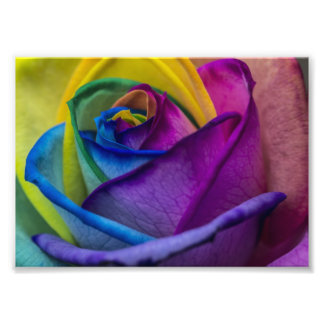 Abstract Rainbow Rose Photo Print