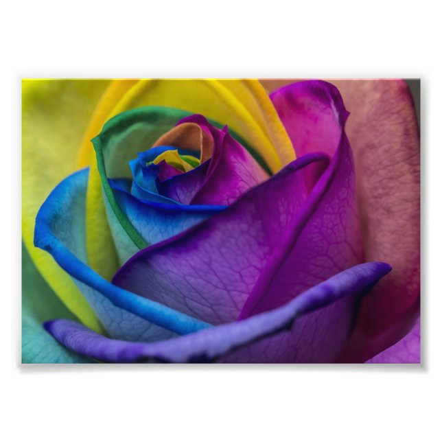 Abstract Rainbow Rose Photo Print (Front)