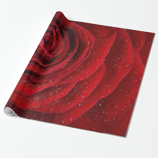 Abstract Red Roses Garden Elegant Floral Wrapping Paper (Unrolled)