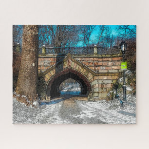 Abstract Scene . Central Park New York. Jigsaw Puzzle
