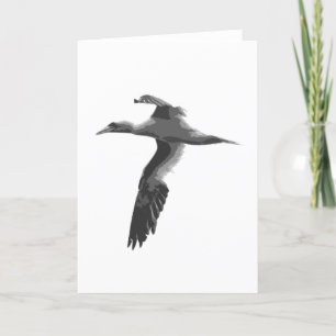 Abstract Sea Birds Card