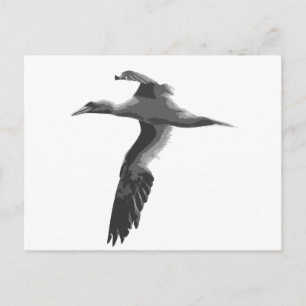 Abstract Sea Birds Postcard