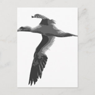 Abstract Sea Birds Postcard