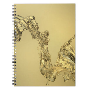 Abstract Shape Formed by Splashing Water Notebook
