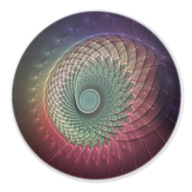 Abstract Snail Colourful Modern Fractal Art Ceramic Knob (Front)