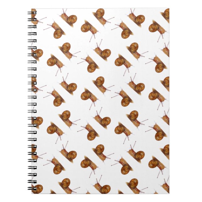 Abstract snail pattern notebook (Front)