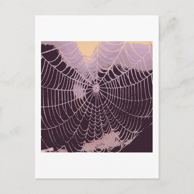 Abstract Spider  Web Postcard (Front)