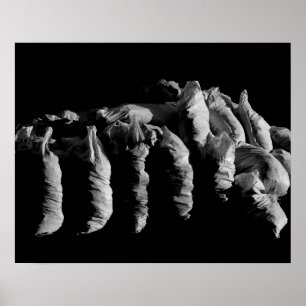 Abstract Texture Black White Sacks Art Photograph Poster
