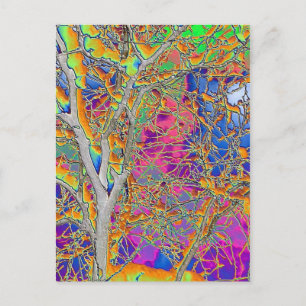 Abstract Tree Postcard