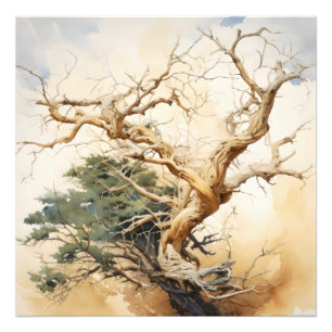 Abstract Tree Symbolism Photo Print