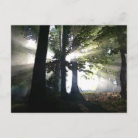 Abstract Trees