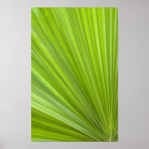 Abstract Tropical Green Palm Frond Poster