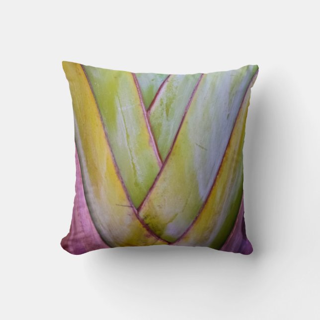 Abstract Tropical Plant |  Mexico | Foliage Cushion (Front)