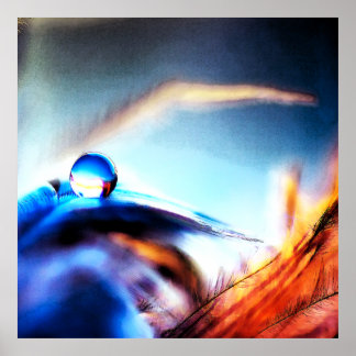 Abstract Water Droplet Vibrant Macro Photography Poster